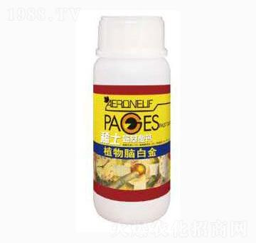 稀土氨基酸鈣-植物腦白金-泰玉肥業(yè)