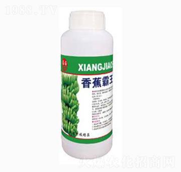 香蕉霸王-泰玉肥業(yè)