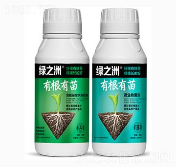 微生物菌劑+氨基酸水溶肥-綠之洲