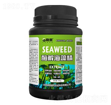 ø�⺣�徫-�չ�-�������r(n��ng)