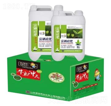 �������-�S���ʘI(y��)