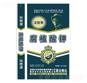 ��ֲ���-�ֲ���-���r����