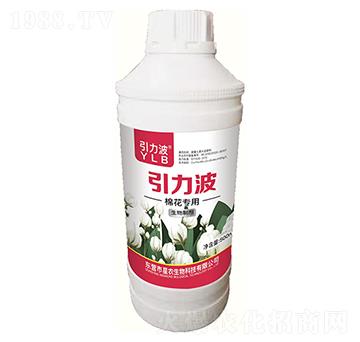 �޻����������Ƅ�-������-���r����