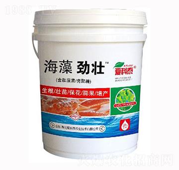 ����ŉ�-�ۿ�̩