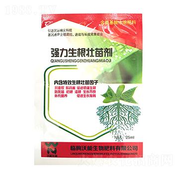 �����������焩-��������