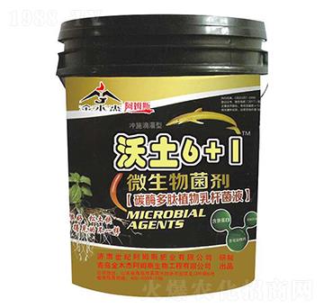 ΢�������-����6+1-��ķ˹����