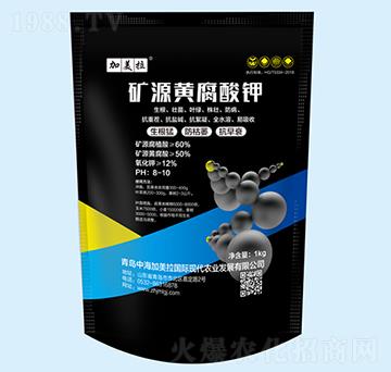 �VԴ�S�����-������