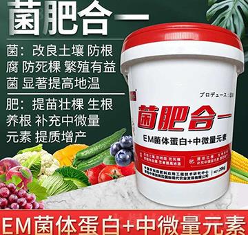 ���ʺ�һ-������