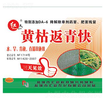 黃枯返青快-匯豪農化
