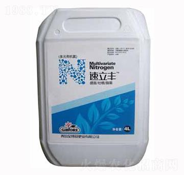 �ߝ�s���}�Ƅ�-�����S-���J