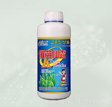 催芽仙露葉面肥-晶園肥料