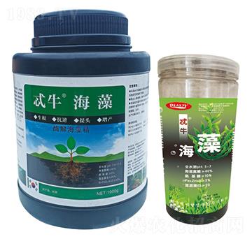 ø�⺣�徫-߯ţ����-�A��