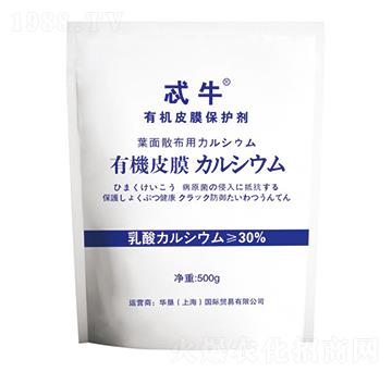 �ЙC(j��)ƤĤ���o(h��)��-߯ţ-�A��