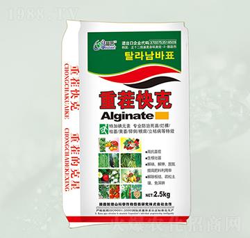 �ز���-���@����