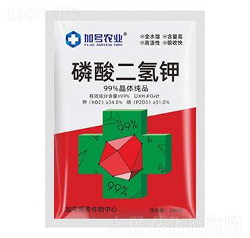 ��������-��̖�r�I(y��)