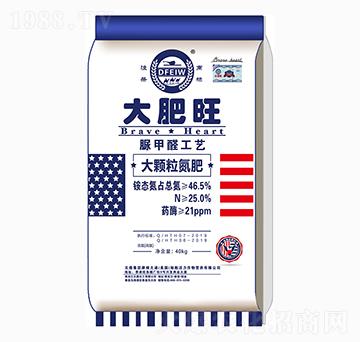 ���w������-�����-�춦