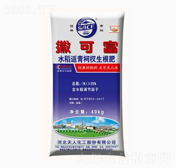 ˮ��������������-���ɸ�-�춦