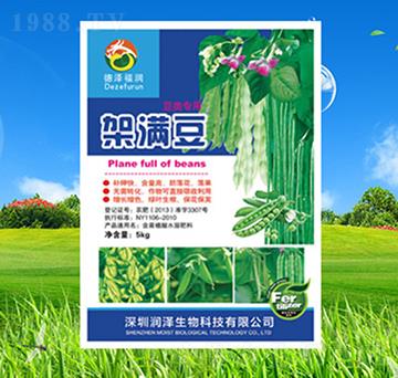 ����üܝM��-��������