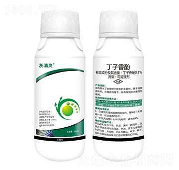 0.3%丁子香酚-灰清爽-嘉綠元