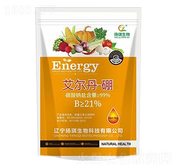 ��������-�P(y��ng)������