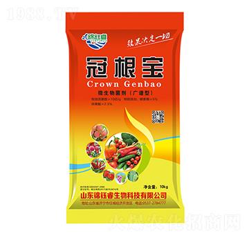 10kg΢�������-�ڸ���-�\��