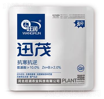 ��������-Ѹï-�����r(n��ng)