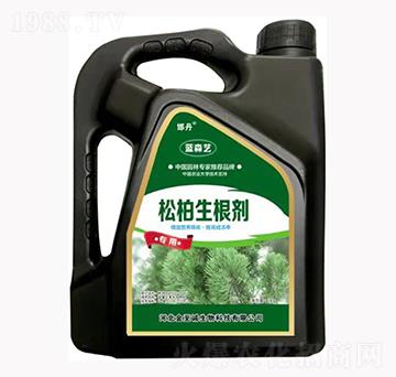 �ɰ�������-�{(l��n)ɭˇ-�����\(ch��ng)