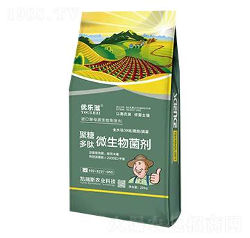 ���Ƕ���΢�������-��(y��u)����-�P��˹