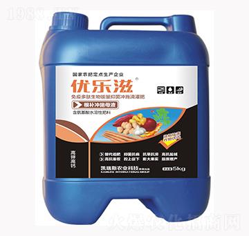 �K���K�o��(y��u)�x���a�_ʩĸҺ-��(y��u)����-�P��˹