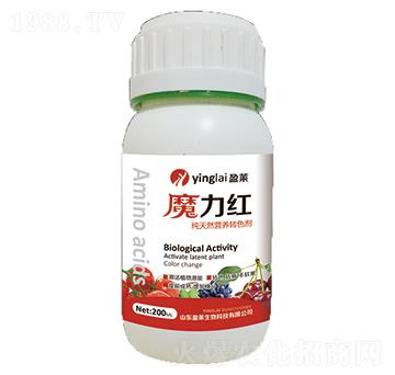 ħ���t-ӯ�R����