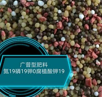 �V���ͷ���19-19-0-���r(n��ng)�r(n��ng)�I(y��)