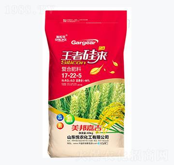 ��(f��)�Ϸ���17-22-5-ʩ����-���r(n��ng)����