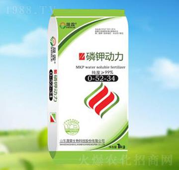 �������0-52-34-��������