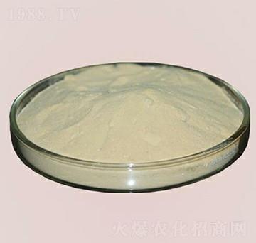 �M(j��n)���~���ס���-�崺�r(n��ng)�Y