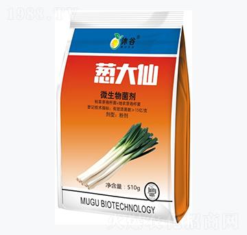 ΢�������-�[����-�������