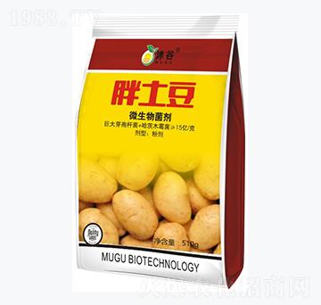 ΢�������-������-�������