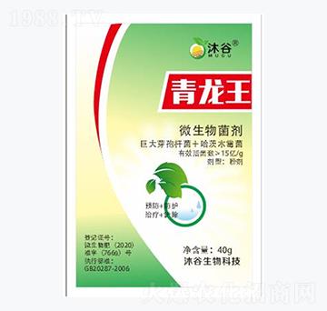 ΢�������-������-�������