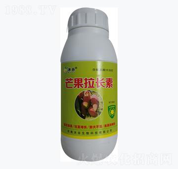 â�����L��-�������