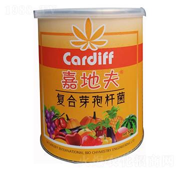 �ͺ�ѿ�ߗU��-�εط�