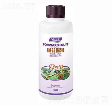 ����������-�S�A��-�S�A�ʘI(y��)