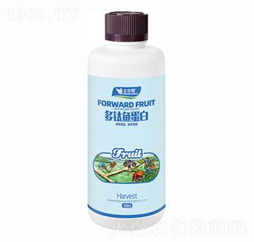 ����~(y��)����-�S�A��-�S�A�ʘI(y��)