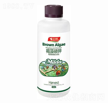 ������Ǐ�(f��)��ԭҺ-�������-�S�A�ʘI(y��)