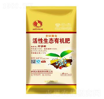 �������ϻ������B(t��i)�ЙC(j��)��-��ӯ����