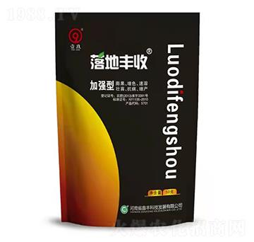 �ӏ�������S��-Ҽ��-���S�Ƽ�