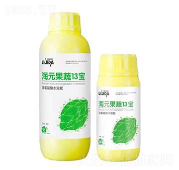 ��Ԫ����13��-������