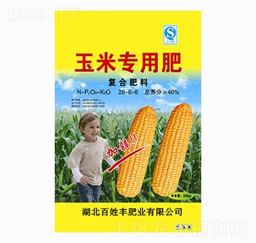 ���׌��Ï�(f��)�Ϸ���28-6-6-�����S