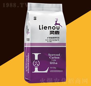 �VԴ������}�V-�`¹-�P������