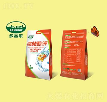 �ߺ�����ֲ��⛷�ĩ-��Ș�