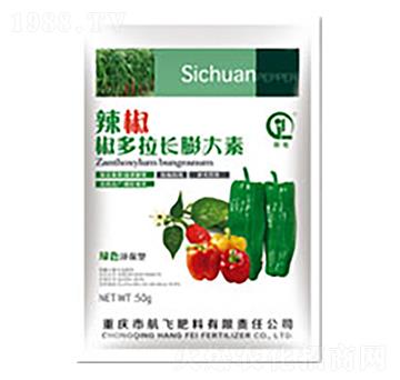 �����������L(zh��ng)�����-���л���