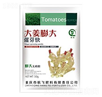 ������ѿ��-���л���